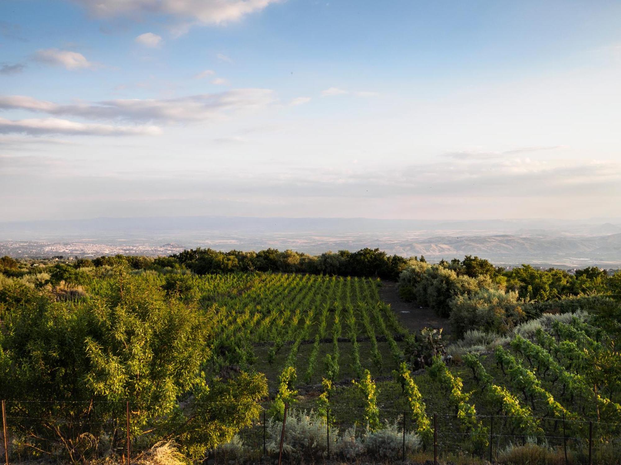 Podere Dell'Etna Segreta - Essential Nature Hotel & Glamping Biancavilla Luaran gambar