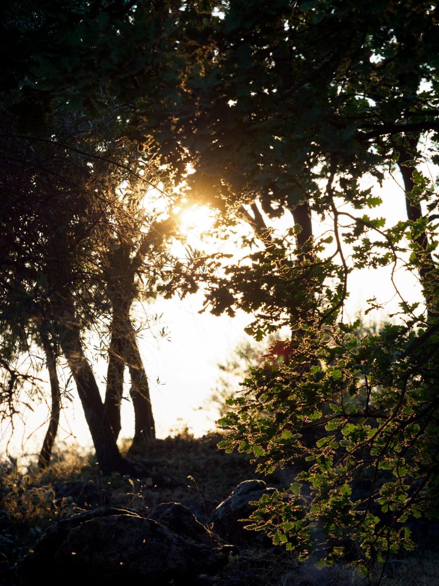 Podere Dell'Etna Segreta - Essential Nature Hotel & Glamping Biancavilla Luaran gambar