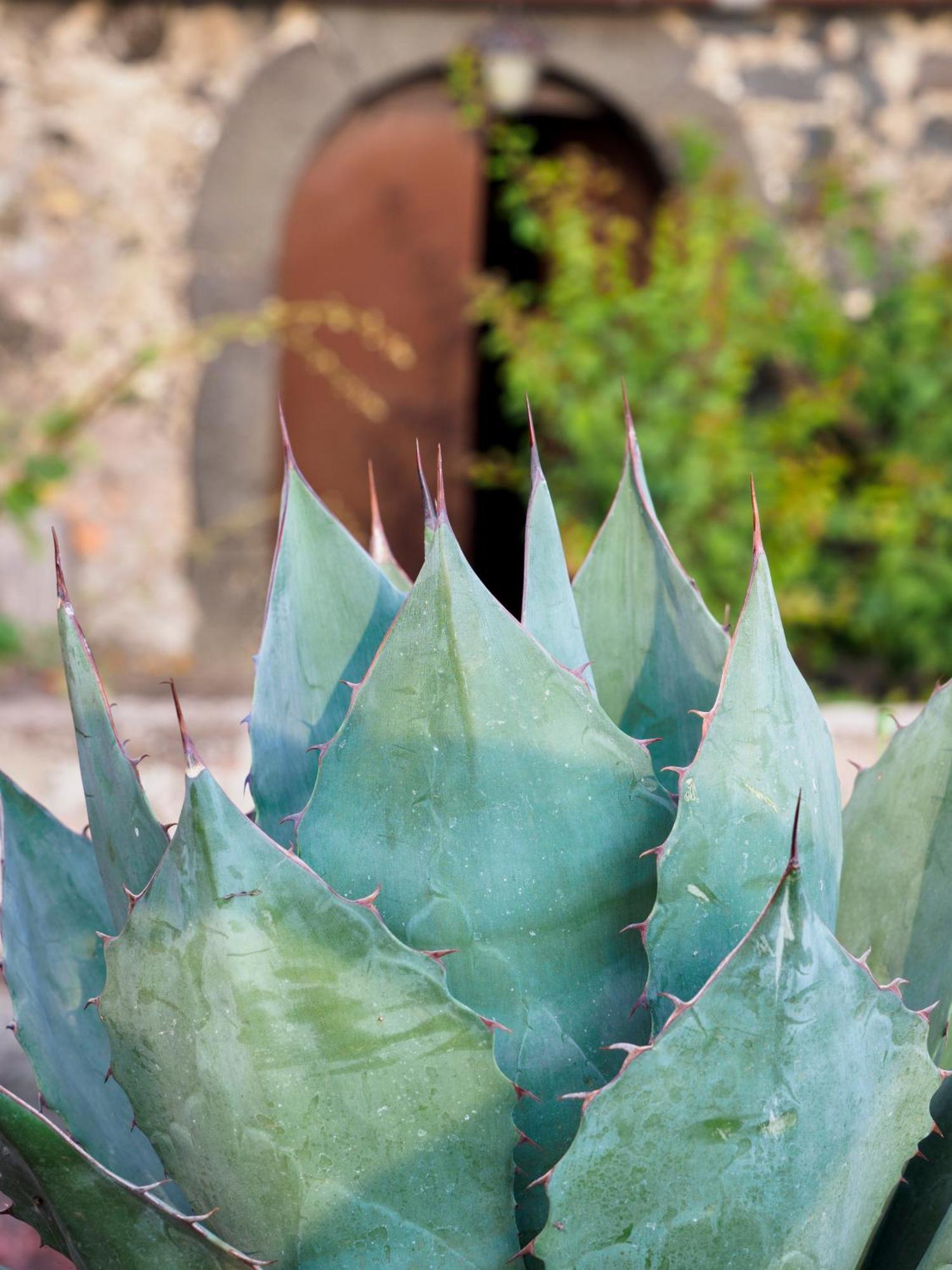 Podere Dell'Etna Segreta - Essential Nature Hotel & Glamping Biancavilla Luaran gambar