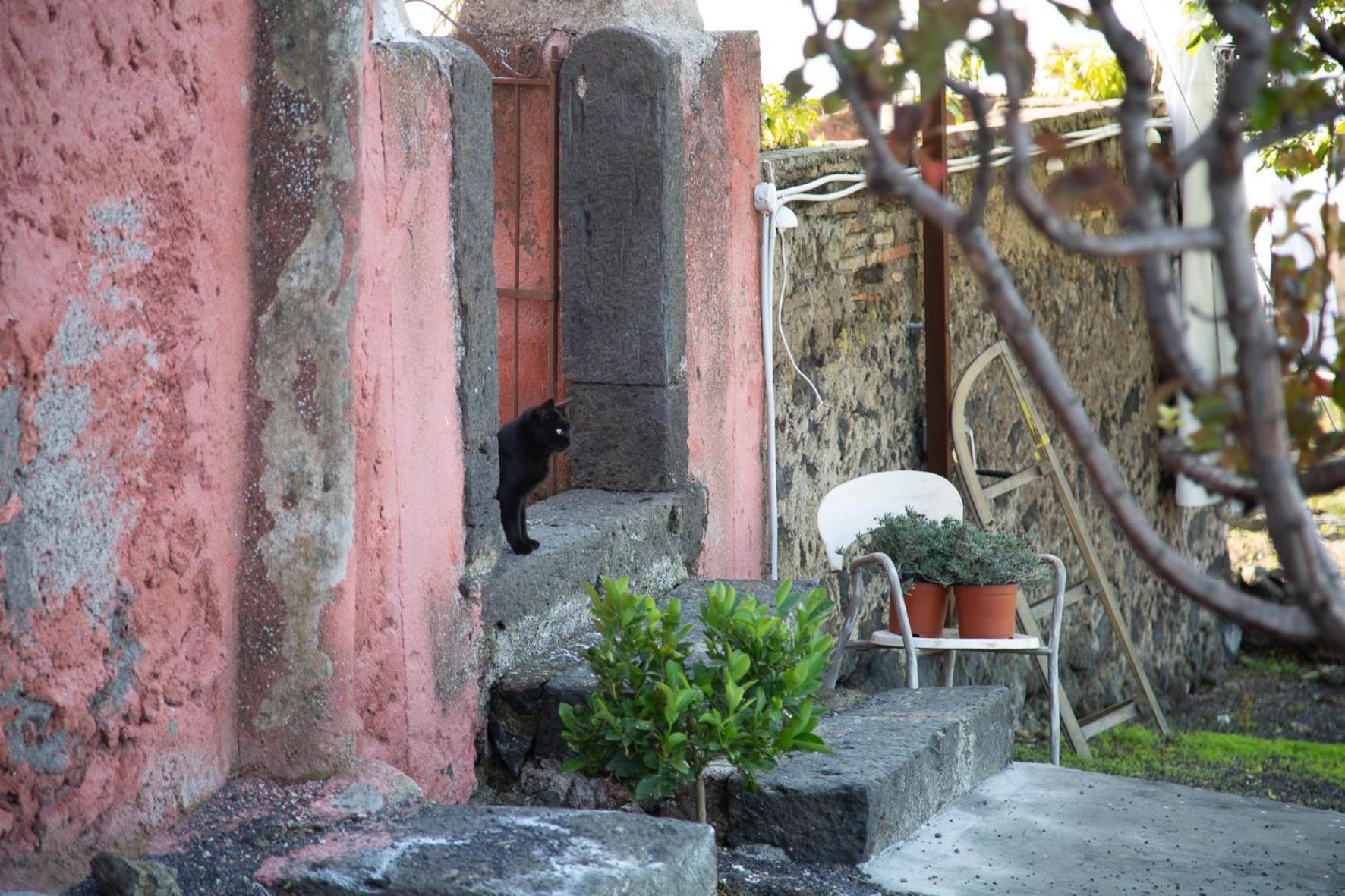 Podere Dell'Etna Segreta - Essential Nature Hotel & Glamping Biancavilla Luaran gambar